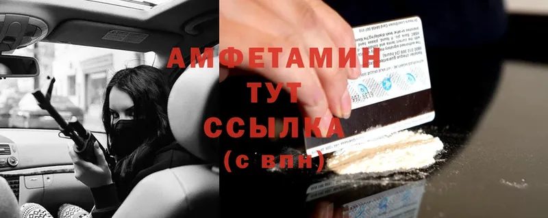 Amphetamine Розовый  Полярные Зори 